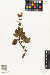 SW_BNB_s3010-07671_IMG-0000000001
