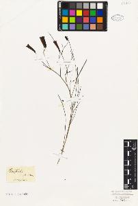 SW_BNB_s3010-07691_IMG-0000000001