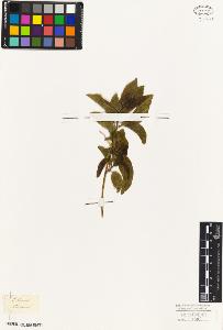 SW_BNB_s3010-07695_IMG-0000000001