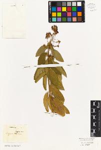 SW_BNB_s3010-07699_IMG-0000000001