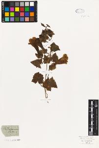 SW_BNB_s3010-07702_IMG-0000000001