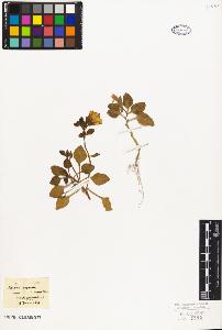 SW_BNB_s3010-07704_IMG-0000000001