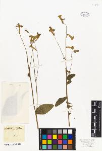 SW_BNB_s3010-07713_IMG-0000000001