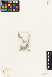 SW_BNB_s3010-07716_IMG-0000000001