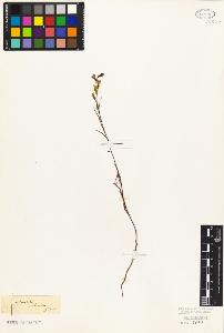 SW_BNB_s3010-07722_IMG-0000000001