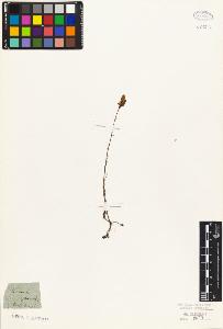 SW_BNB_s3010-07723_IMG-0000000001