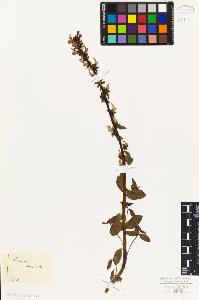 SW_BNB_s3010-07727_IMG-0000000001