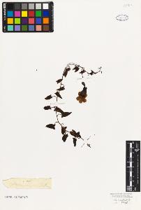 SW_BNB_s3010-07729_IMG-0000000001