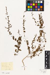 SW_BNB_s3010-07734_IMG-0000000001