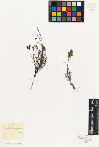 SW_BNB_s3010-07735_IMG-0000000001