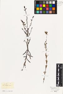 SW_BNB_s3010-07736_IMG-0000000001