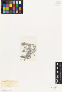 SW_BNB_s3010-07738_IMG-0000000001
