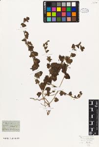 SW_BNB_s3010-07739_IMG-0000000001