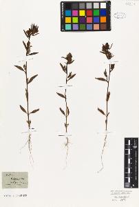 SW_BNB_s3010-07740_IMG-0000000001