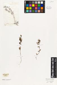 SW_BNB_s3010-07742_IMG-0000000001