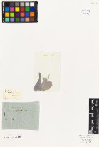 SW_BNB_s3010-07743_IMG-0000000001