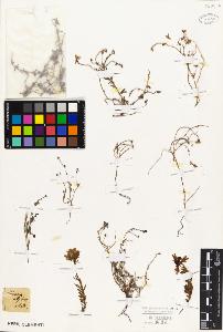 SW_BNB_s3010-07744_IMG-0000000001