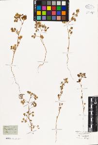 SW_BNB_s3010-07745_IMG-0000000001