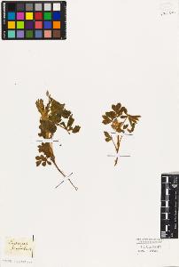 SW_BNB_s3010-07748_IMG-0000000001