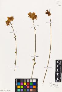 SW_BNB_s3010-07751_IMG-0000000001