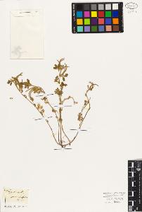 SW_BNB_s3010-07757_IMG-0000000001