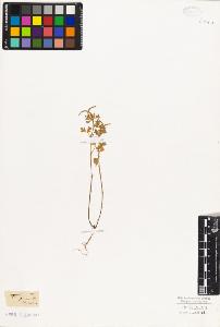 SW_BNB_s3010-07761_IMG-0000000001