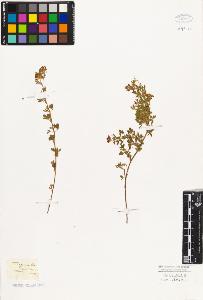 SW_BNB_s3010-07762_IMG-0000000001