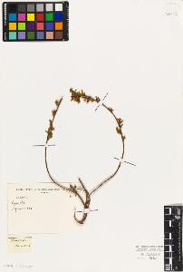 SW_BNB_s3010-07771_IMG-0000000001