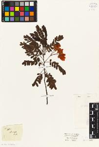 SW_BNB_s3010-07775_IMG-0000000001