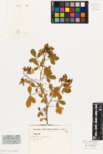 SW_BNB_s3010-07788_IMG-0000000001