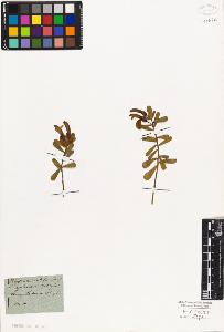SW_BNB_s3010-07794_IMG-0000000001