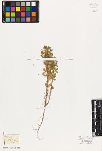 SW_BNB_s3010-07802_IMG-0000000001
