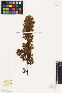 SW_BNB_s3010-07804_IMG-0000000001