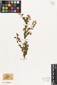 SW_BNB_s3010-07806_IMG-0000000001