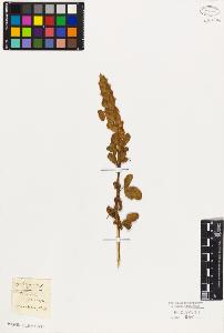 SW_BNB_s3010-07813_IMG-0000000001