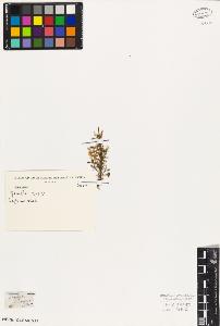 SW_BNB_s3010-07816_IMG-0000000001