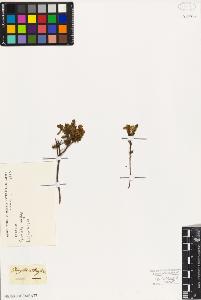 SW_BNB_s3010-07818_IMG-0000000001