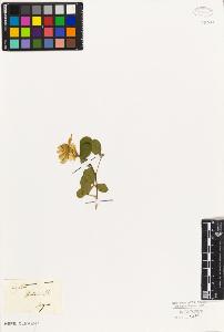 SW_BNB_s3010-07828_IMG-0000000001