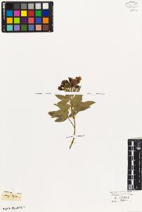 SW_BNB_s3010-07829_IMG-0000000001
