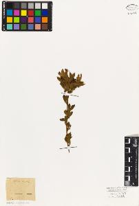SW_BNB_s3010-07832_IMG-0000000001