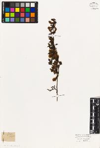 SW_BNB_s3010-07833_IMG-0000000001