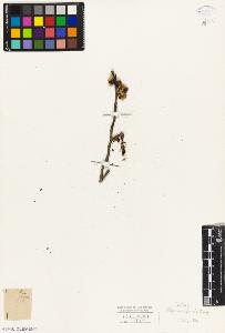 SW_BNB_s3010-07838_IMG-0000000001