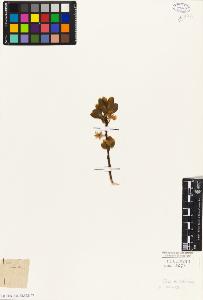 SW_BNB_s3010-07839_IMG-0000000001