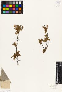 SW_BNB_s3010-07841_IMG-0000000001
