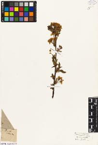 SW_BNB_s3010-07843_IMG-0000000001
