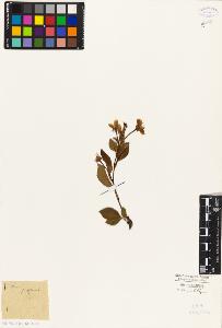 SW_BNB_s3010-07844_IMG-0000000001