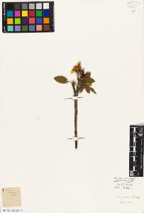 SW_BNB_s3010-07849_IMG-0000000001