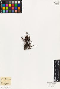 SW_BNB_s3010-07850_IMG-0000000001