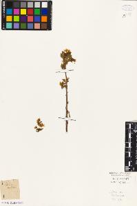 SW_BNB_s3010-07851_IMG-0000000001
