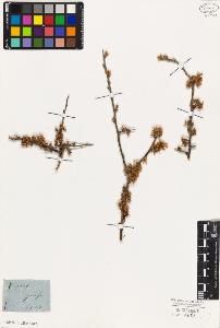 SW_BNB_s3010-07853_IMG-0000000001